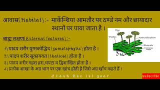 Morphology of Marchantia in hindi।।Bsc 1st year।।मार्केन्शिया के बाह्य लक्षण आवास व वर्गीकरण [upl. by Blankenship783]