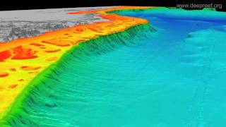 3D view of Great Barrier Reef canyons [upl. by Tram]