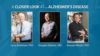 A Closer Look AtAlzheimers Disease [upl. by Corenda]