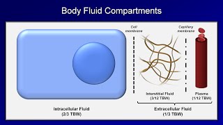 IV Fluids Lesson 1  Basic Principles [upl. by Anitsirk]