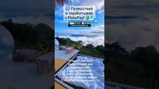 TG PIN2PAYcard pintopay [upl. by Spearman]