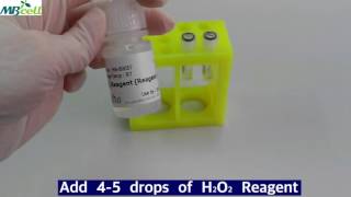 Catalase  Oxy Test [upl. by Pears]