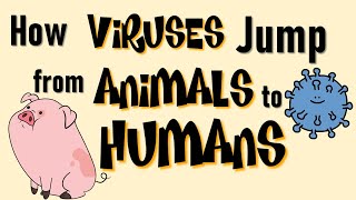 Virus from animals to humans How viruses jumps from one host to the other [upl. by Gilbye258]