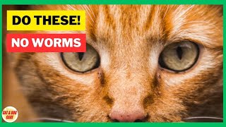 Treating Cat Worms at Home and Getting Rid of Worms  Cat Worming  Cat Grooming [upl. by Petigny211]