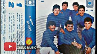 Grupo Los Primos de Panuco Ver LP Completo [upl. by Oicinoid]