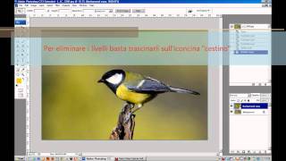 Duplicare i livelli con Photoshop by Phototutorial  Corso di fotografia on linewmv [upl. by Blackmore]
