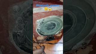 Homemade Bluetooth speaker part 1😯😯😱😱😱😲😱shortsfeed viralvideo trending shorts bluetoothspeaker [upl. by Lidaa]