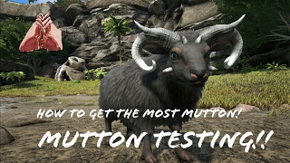 HOW TO FARM MUTTON  OVIS  BEST WAY TO GET MUTTON  ARK SURVIVAL EVOLVED  XBOX ONE PS4 PC ARK [upl. by Merritt697]