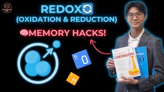 Watch This Video If You Find REDOX Challenging [upl. by Uwkuhceki225]