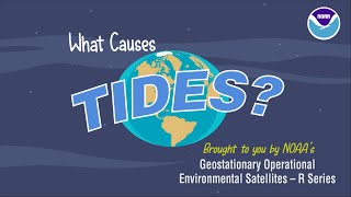 What Causes Tides [upl. by Noffets89]