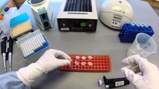 DNA Extraction Protocol  Part 1 [upl. by Iaht]