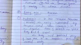 fats and oils fatty acid reactions b pharm msc chemistry hydrogenation reactions fatty acidhydrolys [upl. by Ilahtan]