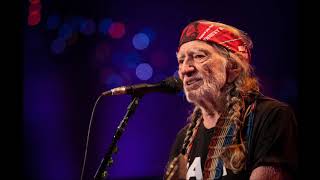 Willie Nelson  The Scientist [upl. by Lashoh409]