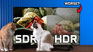 Is HDR Worse  HDR vs SDR On Monitors amp TVs [upl. by Samy]