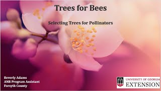 Trees for Bees [upl. by Eilloh]