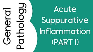 Acute suppurative inflammation PART 1 [upl. by Eduam]