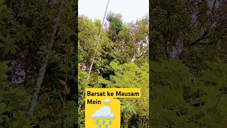 Barsat ke Mausam Mein 🌧️⛈️🌦️shorts tranding youtube aparajitabachhar2355 smilesuktara [upl. by Davidson]