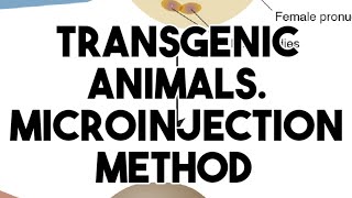 Transgenic animals DNA micro injection method [upl. by Sherlock483]