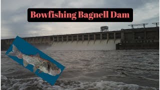 Bowfishing Bagnell Dam [upl. by Nomi]