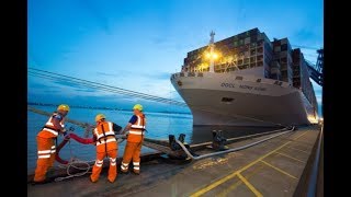 Mooring and Berthing  Merchant Navy [upl. by Irbmac]