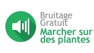 MARCHER SUR DES PLANTES  Bruitage Gratuit [upl. by Akciret]