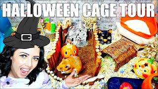 HALLOWEEN HAMSTER CAGE TOUR 🎃  PET CAGE TOUR [upl. by Janik]