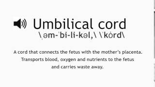 How to Pronounce Umbilical Cord [upl. by Rior]