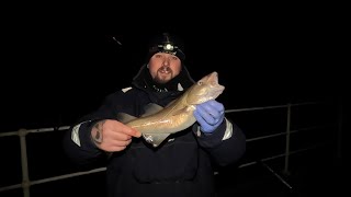 Fishing For Winter Cod On Whitby East Pier [upl. by Aneeroc]