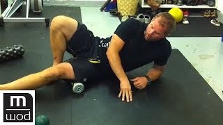 Muscle Stiffness and Athlete Mobility  Feat Kelly Starrett  Ep 280  MobilityWOD [upl. by Jonell749]