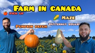 Canada mein Apple kay farm ka visit  Apple Picking Pumpkin Patch amp Corn Maze [upl. by Damha238]