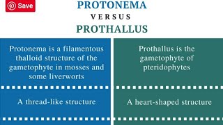 Differences between protonema stage and prothallus [upl. by Estes]