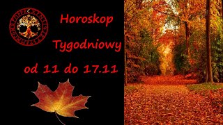 Horoskop tygodniowy od 11 do 17 listopada 2024runy zakatekrun [upl. by Buiron989]