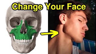 How to Change the Bonestructure of your Face [upl. by Polak]