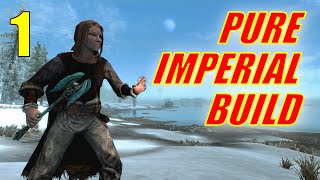 Skyrim PURE IMPERIAL SPELLSWORD Walkthrough NO SMITHING NO ALCHEMY Part 1 Use the Voice [upl. by Rand919]