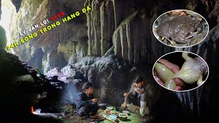 24H Sống Trong Hang Đá Săn Tìm Loài Ếch 1 Năm Xuất Hiện 1 Lần  Lý Văn Lợi Vlog [upl. by Farris131]