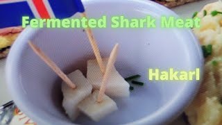 I Ate Fermented Shark Meat In Reykjavik Iceland [upl. by Lered]