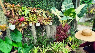 MAS PINAGANDA DRIFTWOOD LANDSCAPING 🌿😮 [upl. by Suiremed909]