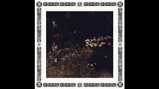 Sarah Davachi  Pale Bloom 2019 Full Album [upl. by Guenevere]