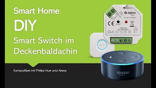 Smart Home Switch im Deckenbaldachin Huekompatibel [upl. by Barrie499]