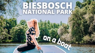 Biesbosch national park boat tour 🚤 Location prices amp beautiful views  Netherlands travel vlog [upl. by Enelam]