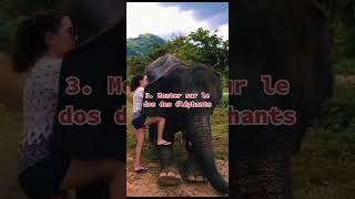 5 pièges que tu dois éviter lors de ton voyage en Thaïlande thailand bankok elephant [upl. by Botsford596]