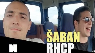 Neglizhe  Saban Saulic  Sneg RHCP MashUp [upl. by Luba]