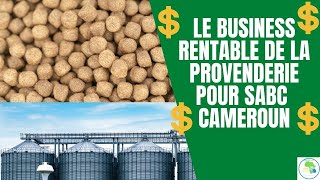 Actualité Cameroun  Les brasseries du Cameroun se lance dans la Provenderie [upl. by Bower]