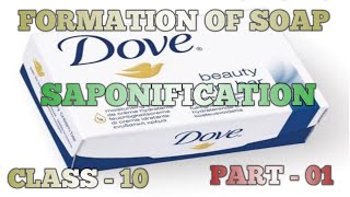 FORMATION OF SOAP  PART  01  SAPONIFICATION  CLASS  10 [upl. by Churchill]