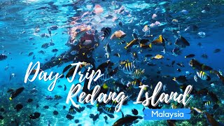 Day Trip Redang Island Snorkeling and Island Hopping Full Day Tour‼️ [upl. by Modeste]