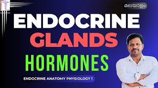 Endocrine System Physiology Malayalam Endocrine glands Hormones Introduction Malayalam [upl. by Ecinnahs]