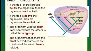 Cladograms and Phylogenetic Trees [upl. by Brunhilde]