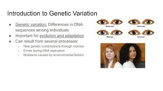 24 Meiosis and Variation [upl. by Susej]