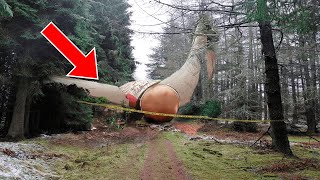 Hiker Finds Huge StrangeLooking Object In Forest Experts Turn Pale After Finding This Inside [upl. by Eedolem]