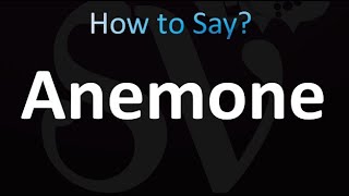 How to Pronounce Anemone correctly [upl. by Appolonia]